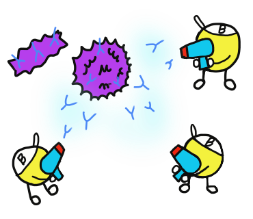 抗体のあれやこれ イラスト解説 Biolog 生化学をもっと身近に